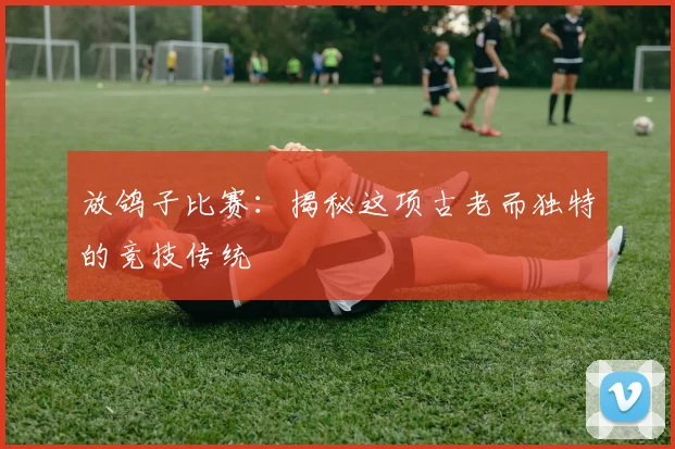 放鸽子比赛:揭秘这项古老而独特的竞技传统